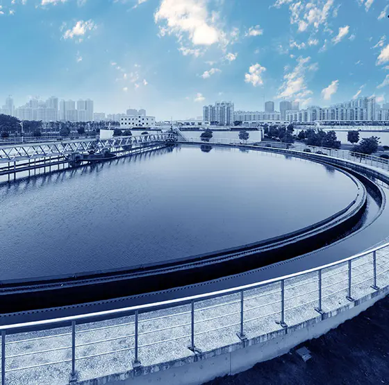 PSA Oxygen Generator Application